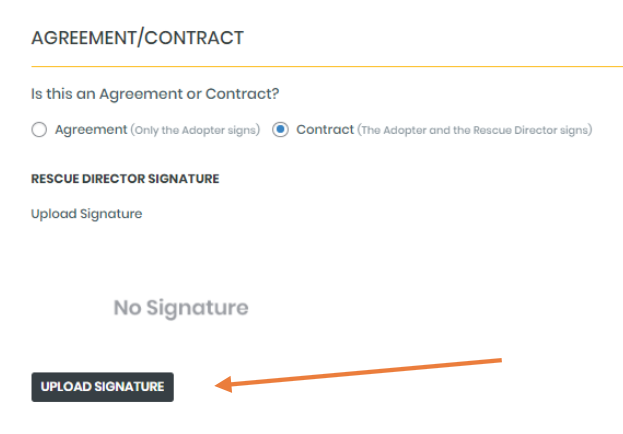 setting-up-the-Contract-Module