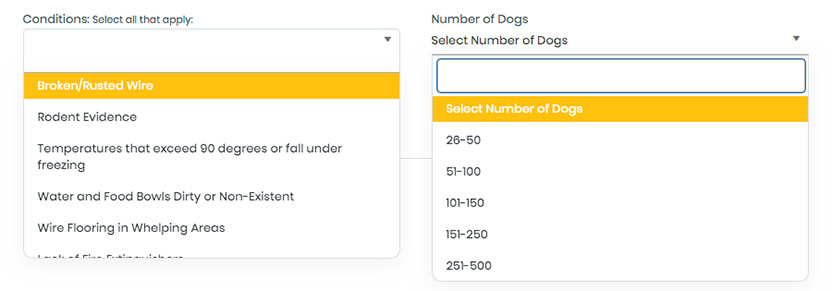 Dog House - Rescue Databases, Breeders